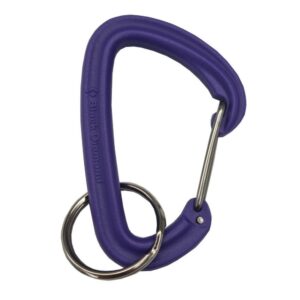 Black Diamond Jivewire Accessory Carabiner – Purple